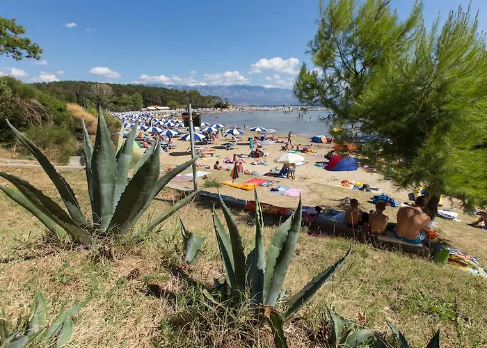 Meri - 1 Apartamento